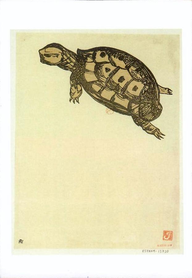 Gravures avec Tortues.