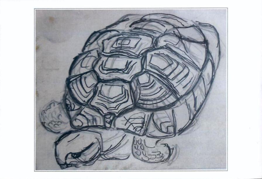 Gravures avec Tortues.