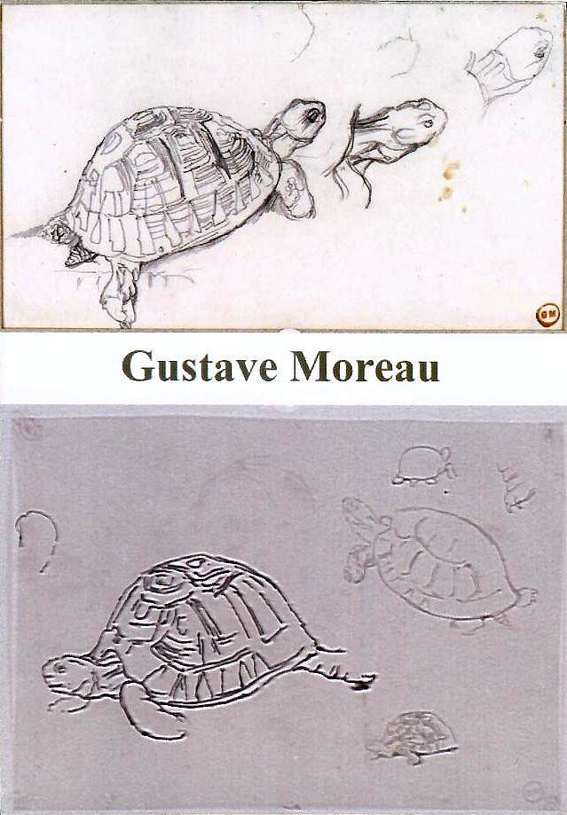 Gravures avec Tortues.