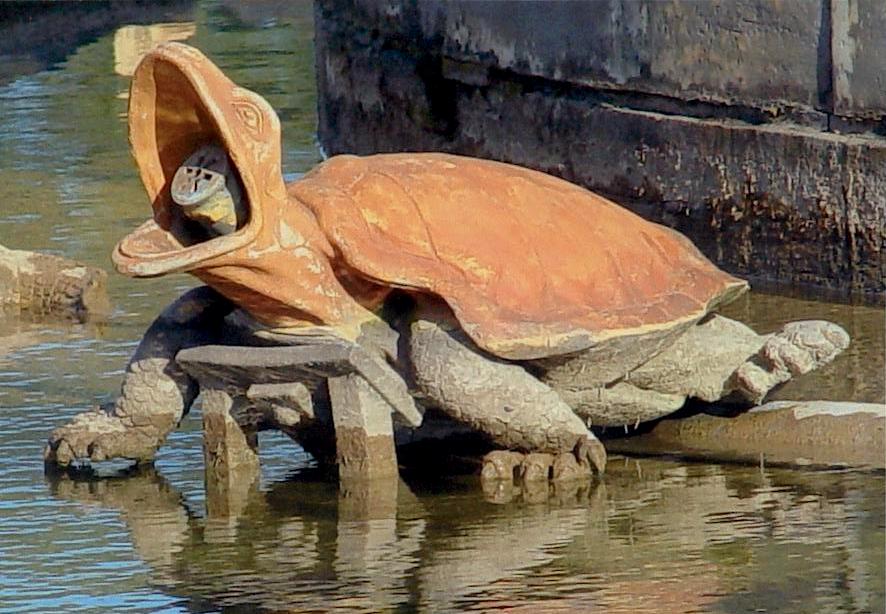 Fontaines avec tortues.