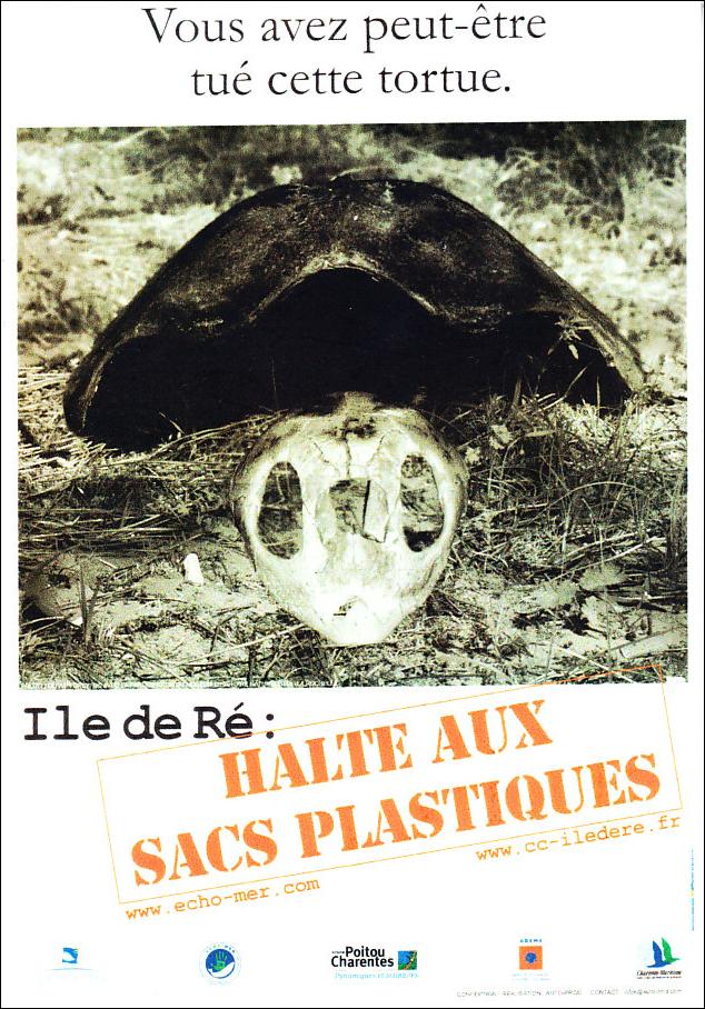 Tortues de France.