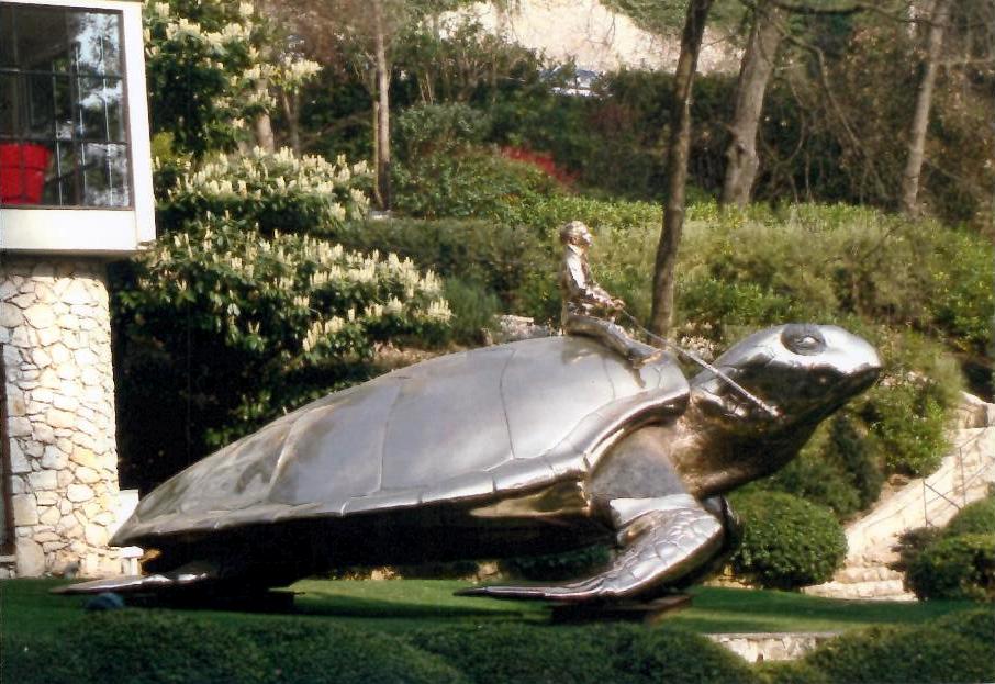 Tortues de France.