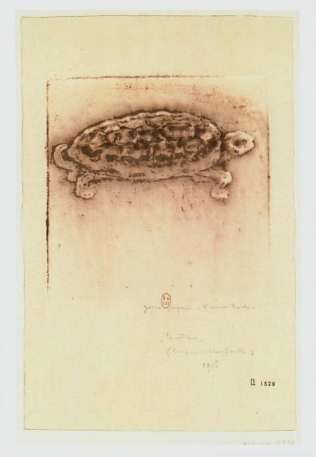 Gravures avec Tortues.