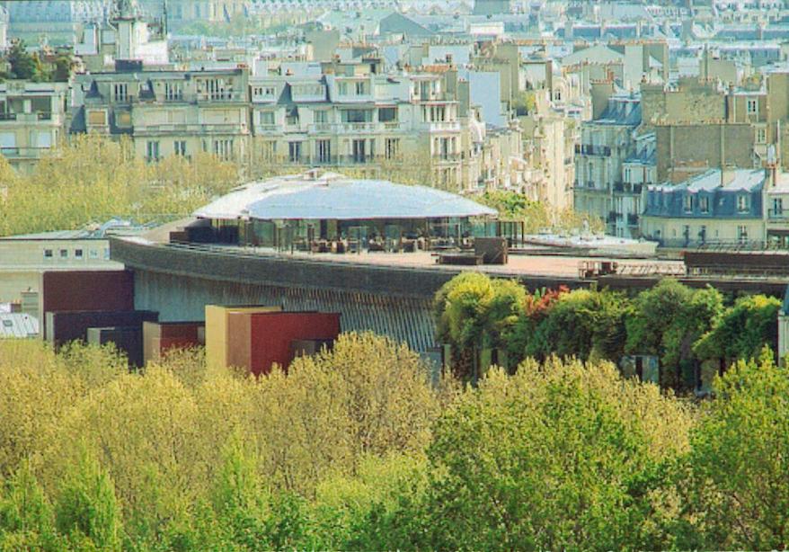 France - Les tortues de Paris.