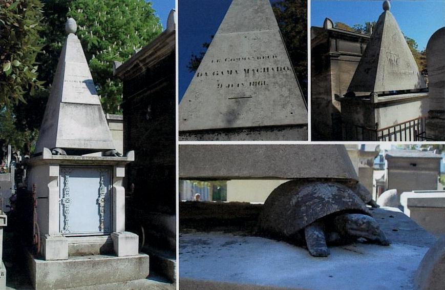 France - Les tortues de Paris.