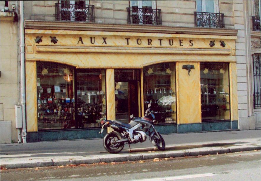 France - Les tortues de Paris.