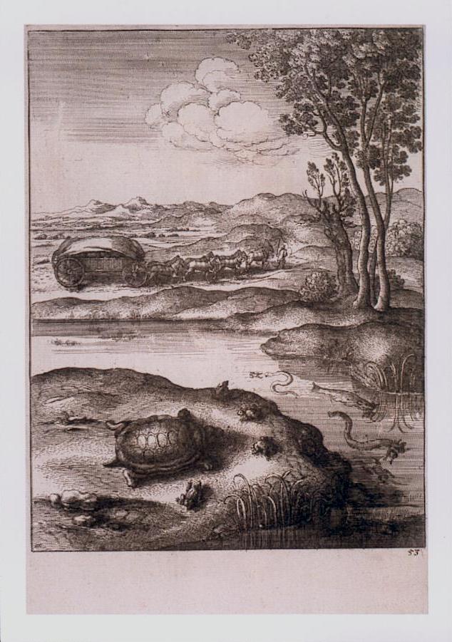 Gravures avec Tortues.