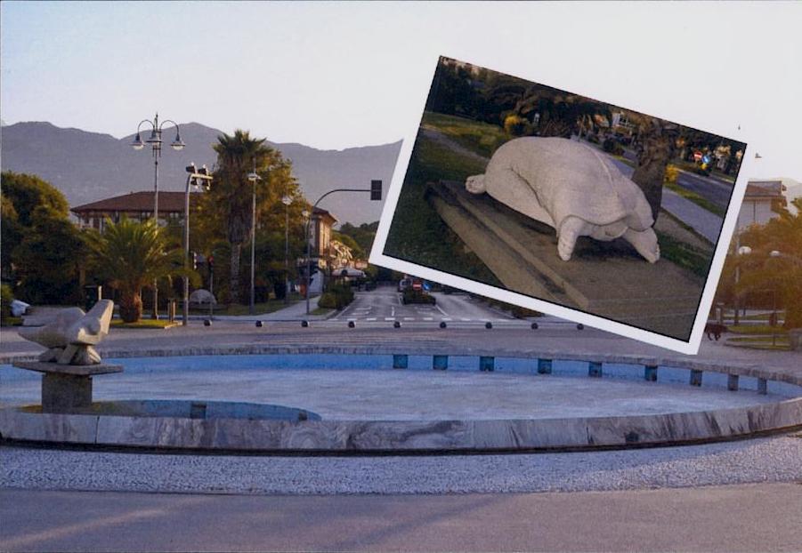 Tortues d'Italie.