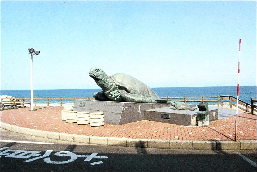 Sculptures avec tortues