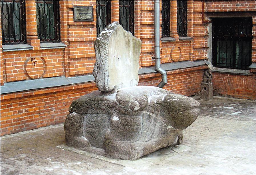 Tortues de Russie