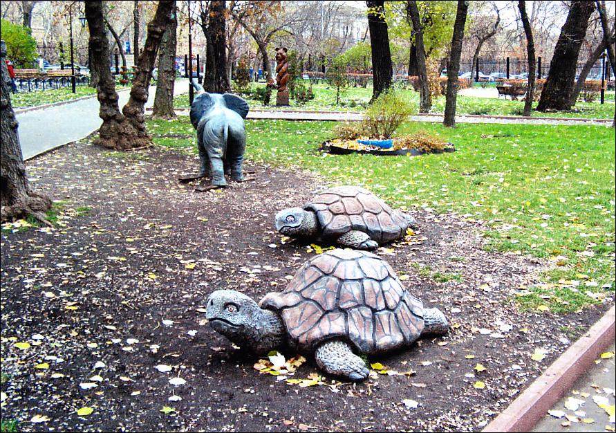 Tortues de Russie