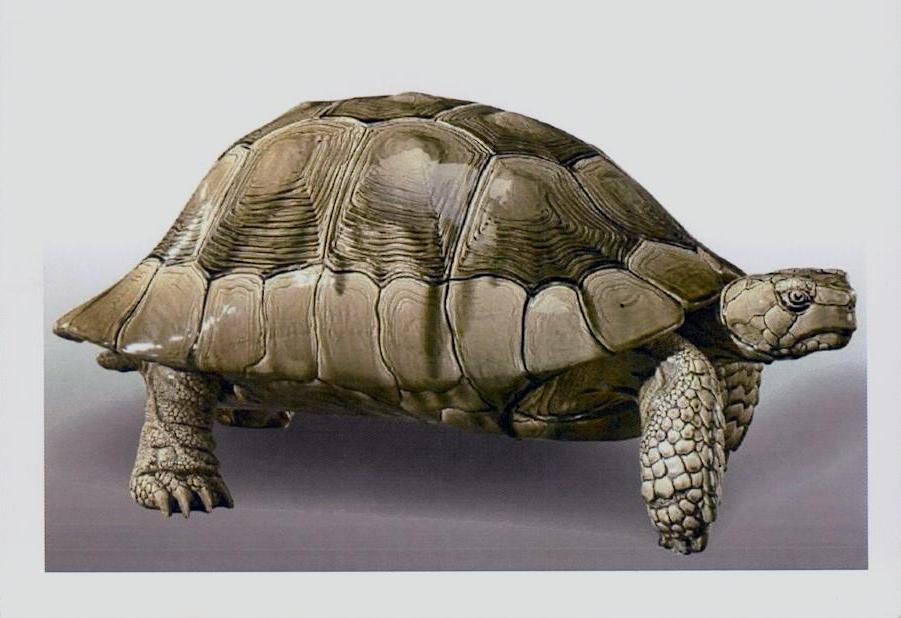 Sculptures avec tortues