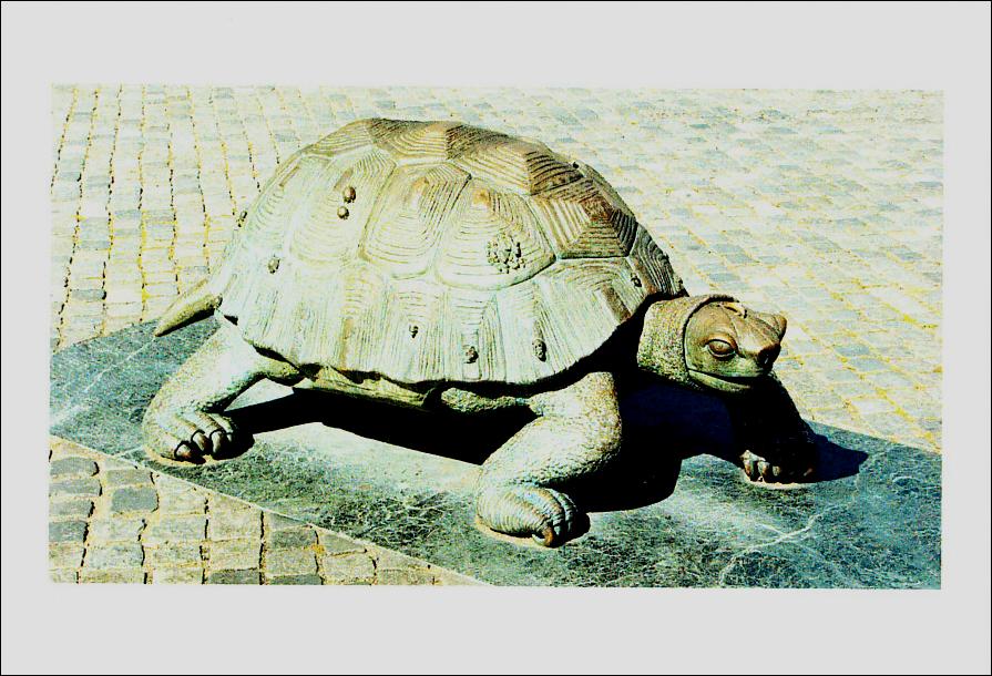 Tortues de République Tchèque