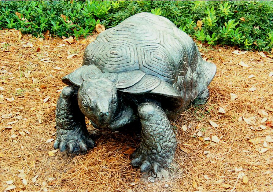 Sculptures avec tortues