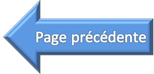 Page précédente