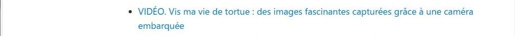 Vers une vidéo : Vis ma vie de tortue : des images fascinantes capturées grâce à une caméra embarquée.