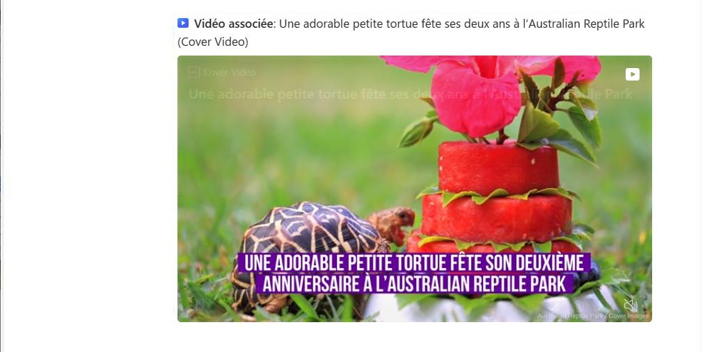 Vers un article Positivr : tortue molle géante : cet animal "rare et sacré" au Vietnam va disparaître.