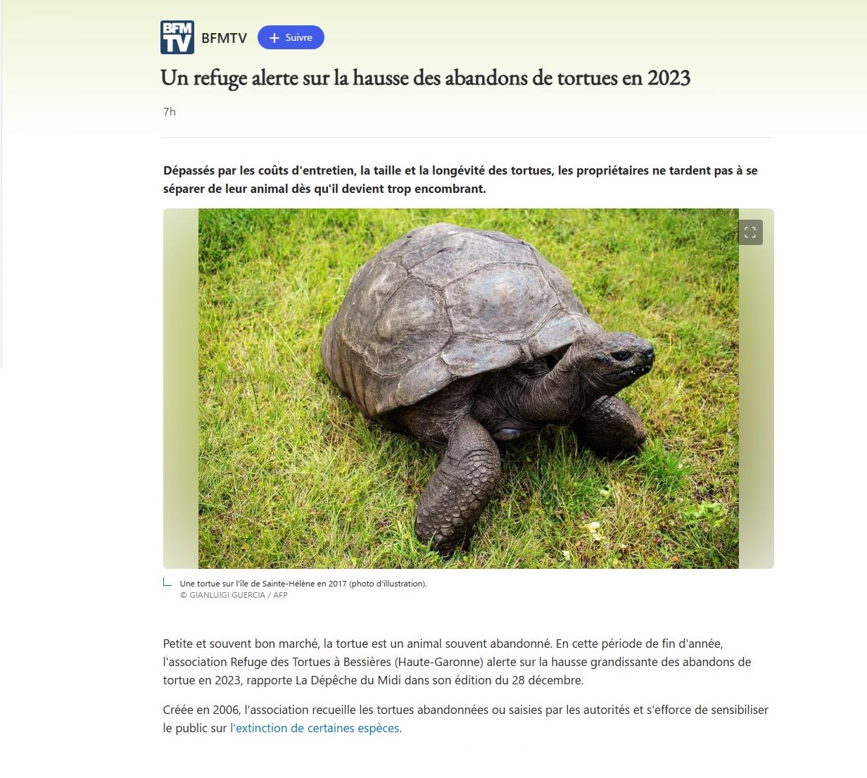 Article BFM TV : un refuge alerte sur la hausse des abandons de tortues en 2023.