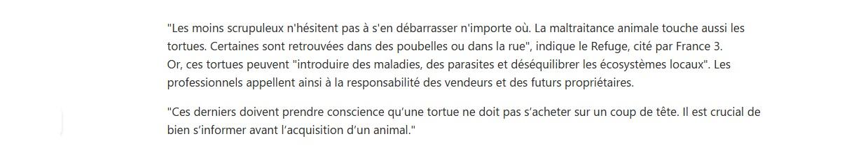 Article BFM TV : un refuge alerte sur la hausse des abandons de tortues en 2023.