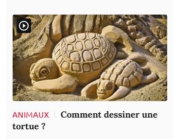 Lien vers article Ca m'intéresse : comment dessiner une tortue ?