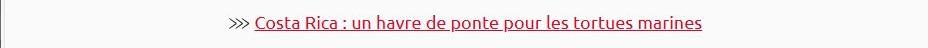 Lien vers article ça m'intéresse : Costa Rica : un havre de ponte pour les tortue marines.