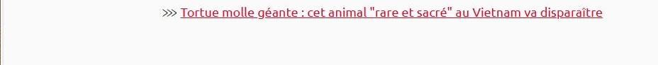 Lien vers article ça m'intéresse :  tortue molle géante : cet animal "rare et sacré" au Vietnam va disparaître.