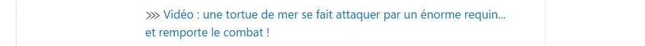 Vers un article ça m'intéresse : une tortue de mer se fait attaquer par un énorme requin... et remporte le combat !