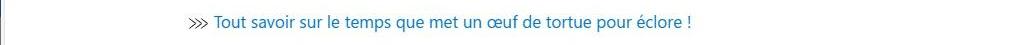 Vers un article ça m'intéresse : tout savoir sur le temps que met un oeuf de tortue pour éclore !