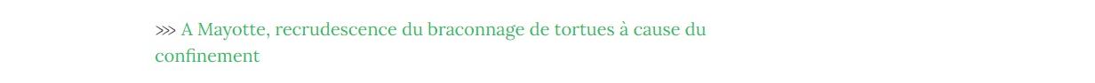 Lien vers article "A Mayotte, recrudescence du braconnage de tortues à cause du confinement".