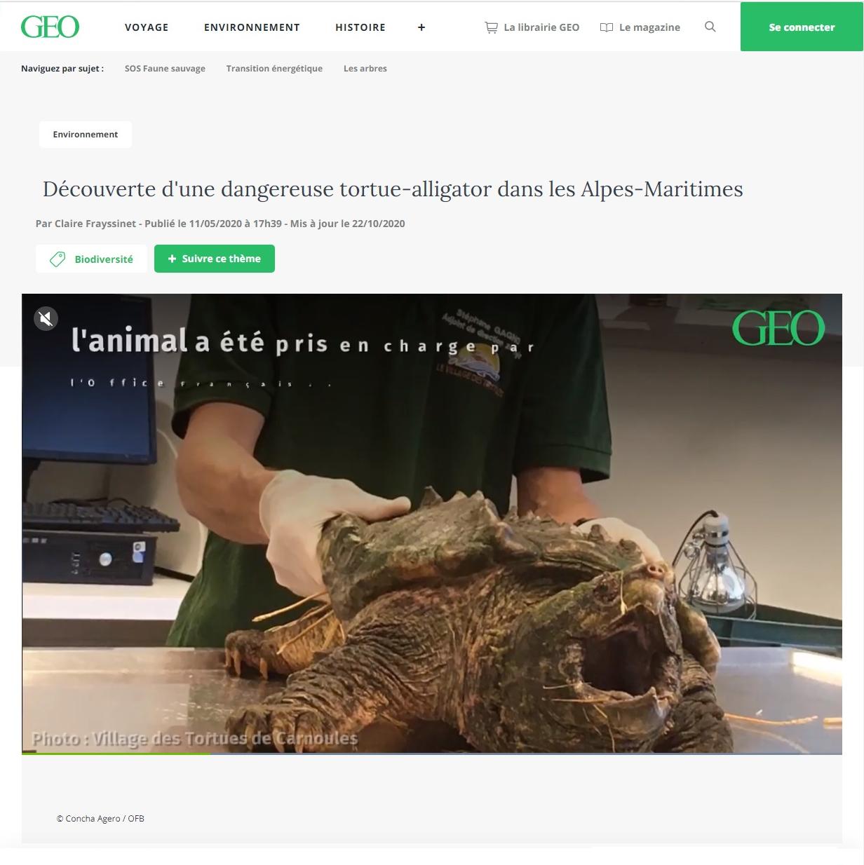 Article "Découverte d'une dangereuse tortue-alligator dans les Alpes-Maritimes".