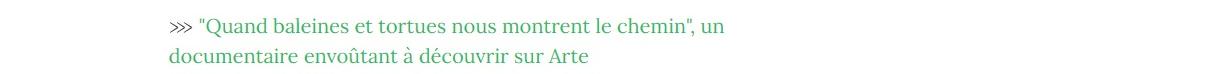 Lien vers article "Quand baleines et tortues nous montrent le chemin, un documentaire envoûtant à découvrir sur Arte".