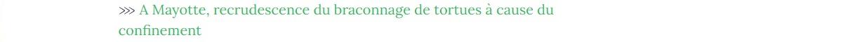 Lien vers article "A Mayotte, recrudescence du braconnage de tortues à cause du confinement".