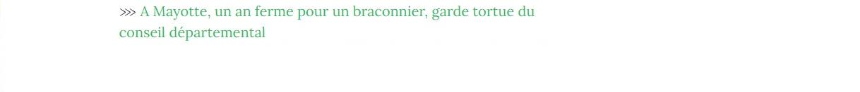 Lien vers article "A Mayotte, un an ferme pour un braconnier, garde tortue du conseil départemental".