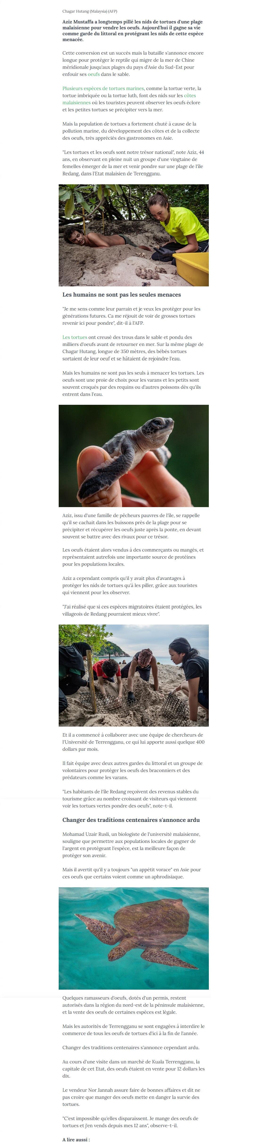 Article "Un pilleur de nids devenu protecteur des tortues en Malaisie".
