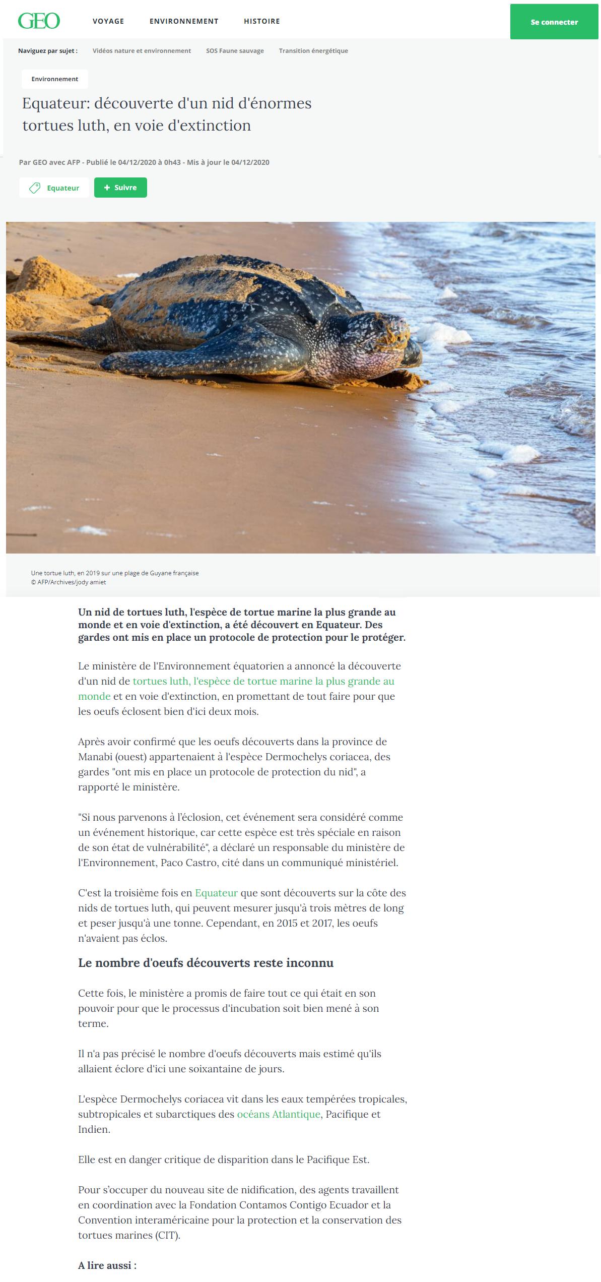 Article "découverte d'un nid de tortues luth en Equateur".