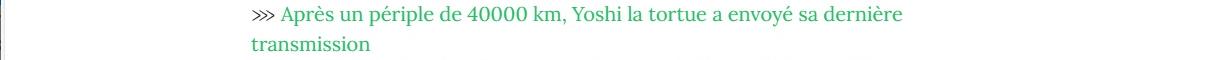 Lien vers article Geo : après un périple de 40 000 km, Yoshi la tortue a envoyé sa dernière transmission.