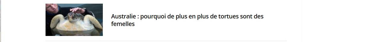 Lien vers article : Australie : pourquoi de plus en plus de tortues sont des femelles ?
