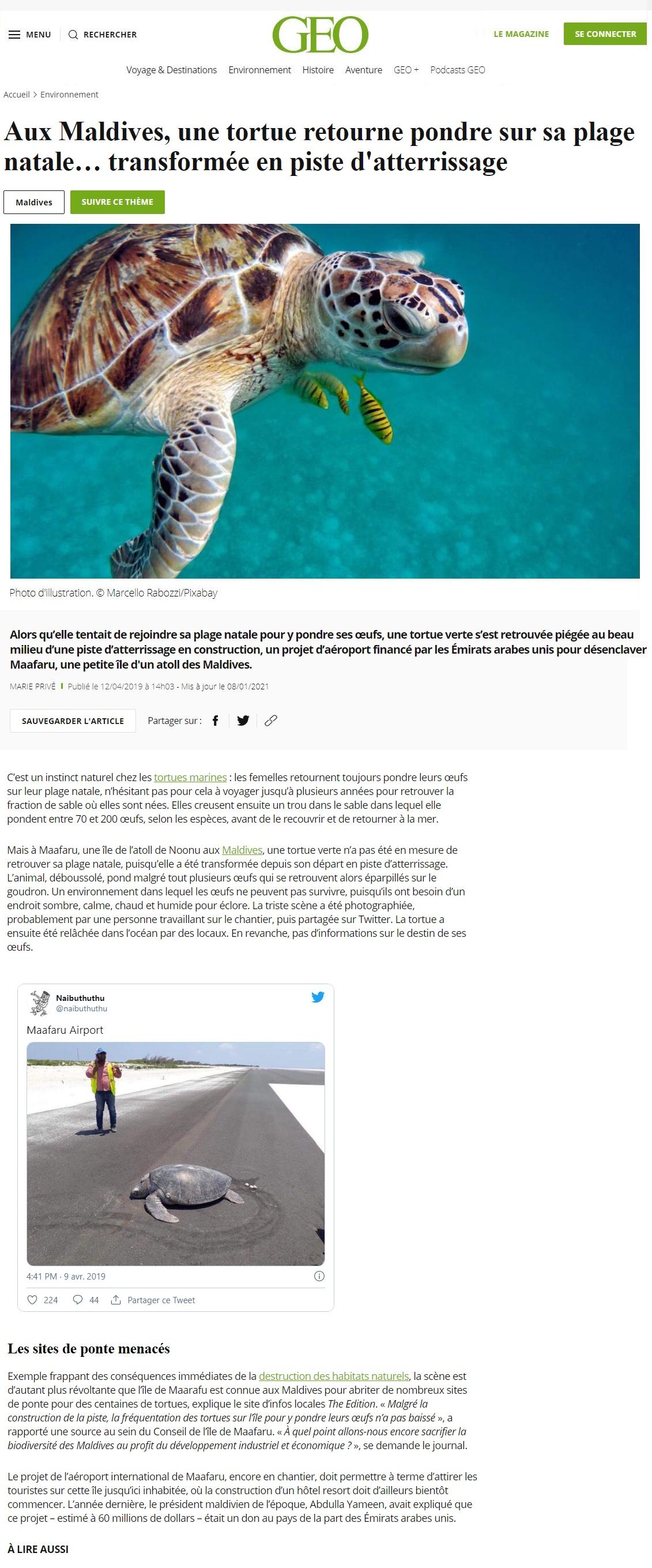 Article "Aux Maldives, une tortue retourne pondre sur sa plage natale... transformée en piste d'atterrissage".