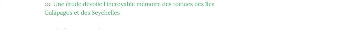 Lien vers article "Une étude dévoile l'incroyable mémoire des tortues des îles Galápagos et des Seychelles".