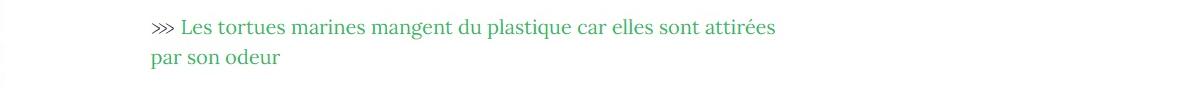 Lien vers article" Les Tortues marines mangent du plastique car elles sont attirées par son odeur".