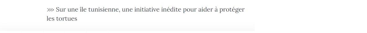 Lien vers article "Sur une île tunisienne, une initiative inédite pour aider à protéger des tortues marines".