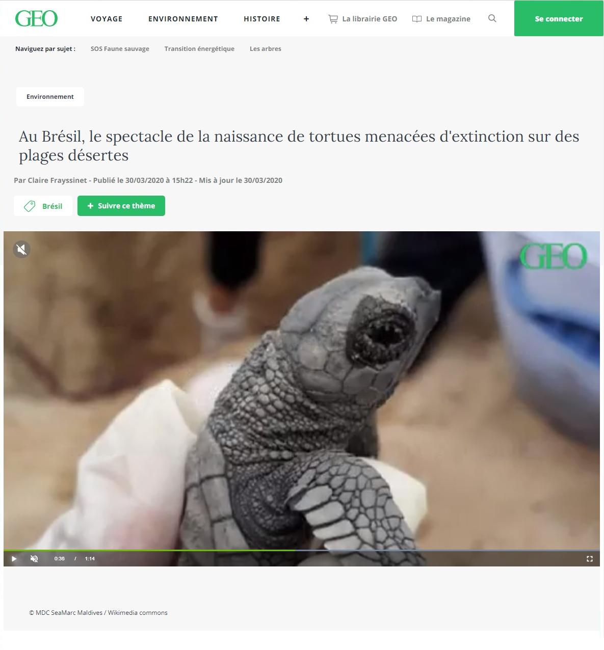 Article "Au Brésil, le spectacle de la naissance de tortues menacées d'extinction sur des plages désertes".