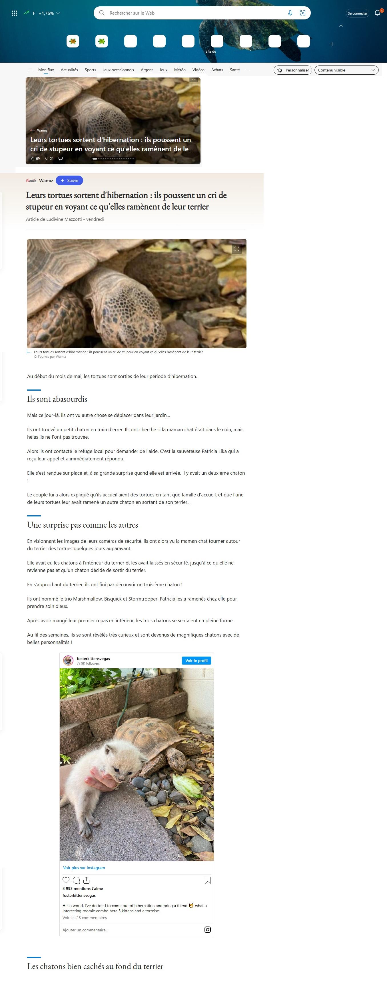 Article Tortues Bing.