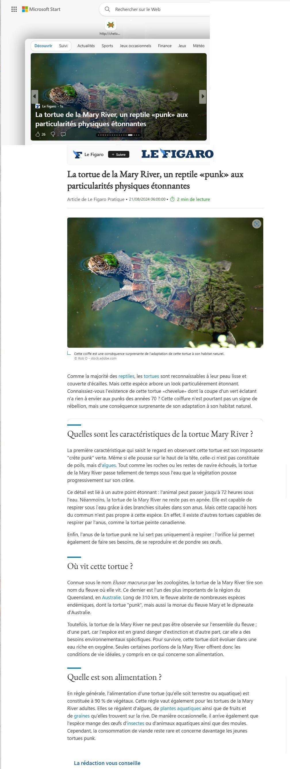 Article Le Figaro : La tortue de la Mary River, un reptile "punk" aux particularités physiques étonnantes.