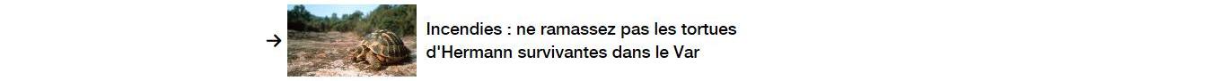 Lien vers autre article.