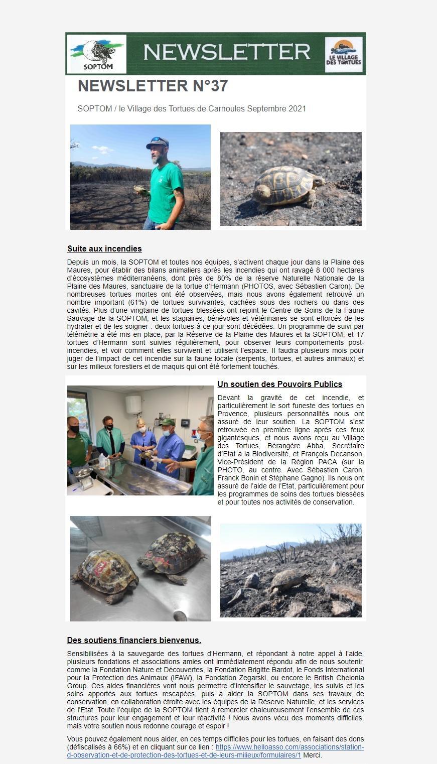 Newsletter Soptom 01.