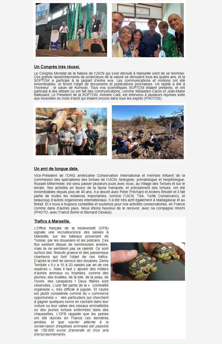 Newsletter Soptom 02.